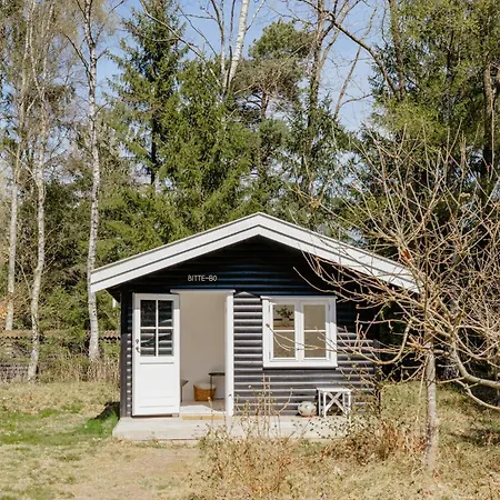 Ferienhaus Traditional Scandinavian Log House Close To Arreso